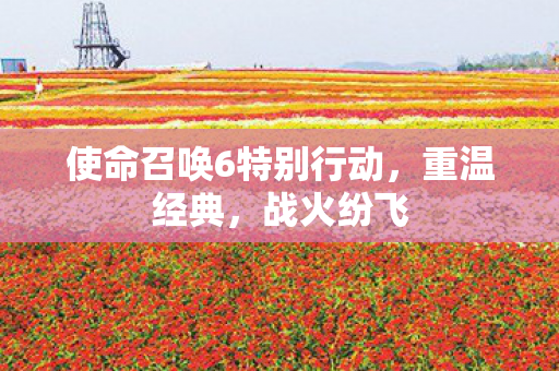 使命召唤6特别行动，重温经典，战火纷飞