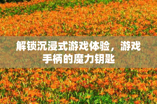 解锁沉浸式游戏体验图片