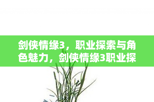 剑侠情缘3，职业探索与角色魅力，剑侠情缘3职业探索与角色魅力解析