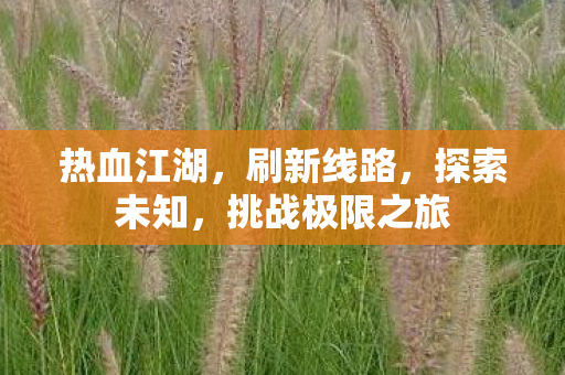 挑战极限之旅图片