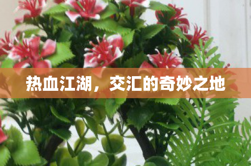 交汇的奇妙之地图片