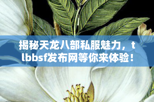 tlbbsf发布网等你来体验图片