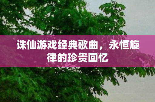 永恒旋律的珍贵回忆图片
