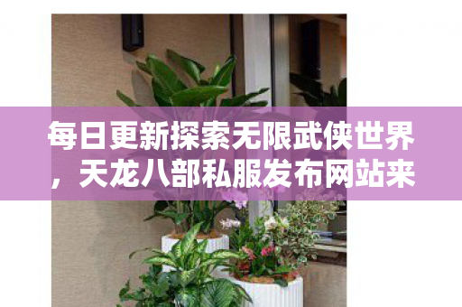 每日更新探索无限武侠世界图片