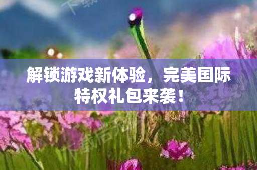 完美国际特权礼包来袭图片