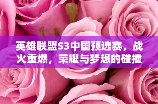 英雄联盟S3中国预选赛图片