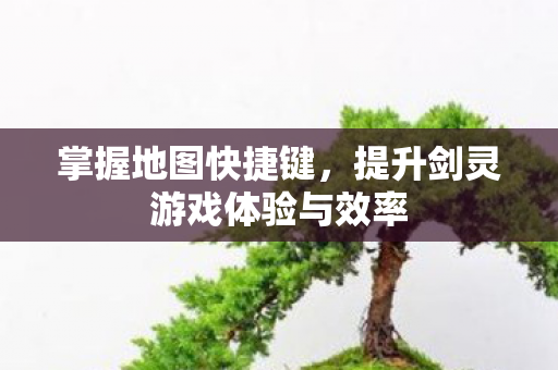 提升剑灵游戏体验与效率图片