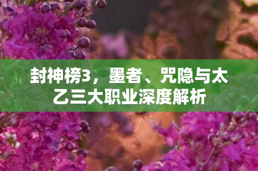 咒隐与太乙三大职业深度解析图片