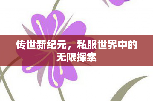 传世新纪元,私服世界中的无限探索 传世新纪元,私服世界中的无限探索