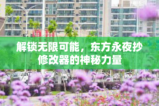 东方永夜抄修改器的神秘力量图片