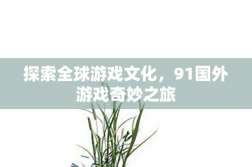 91国外游戏奇妙之旅图片