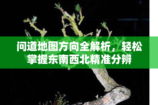 轻松掌握东南西北精准分辨图片