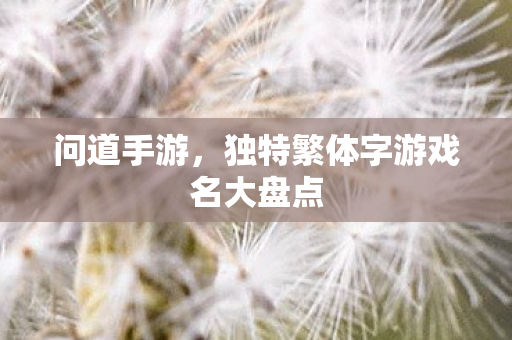 独特繁体字游戏名大盘点图片