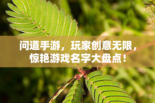 惊艳游戏名字大盘点图片