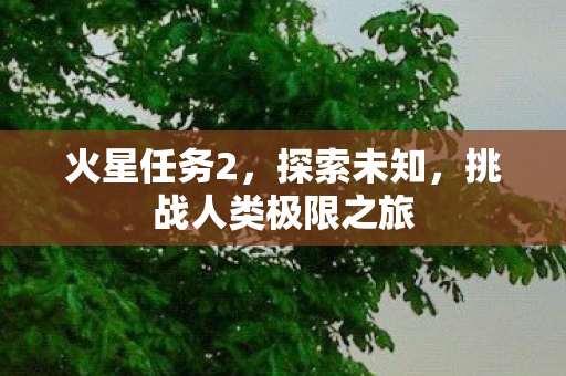 挑战人类极限之旅图片