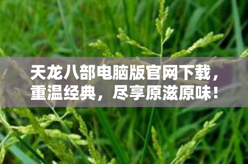 天龙八部电脑版官网下载图片