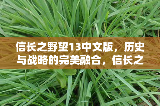 信长之野望13中文版，历史与战略的完美融合，信长之野望13，历史与战略的精彩碰撞