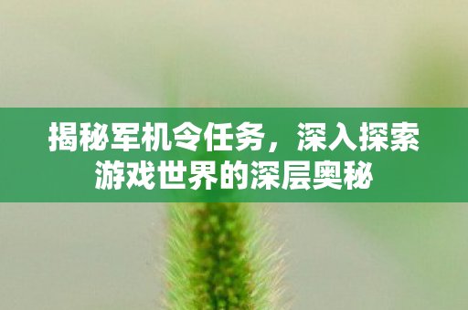 深入探索游戏世界的深层奥秘图片