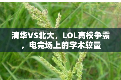 电竞场上的学术较量图片