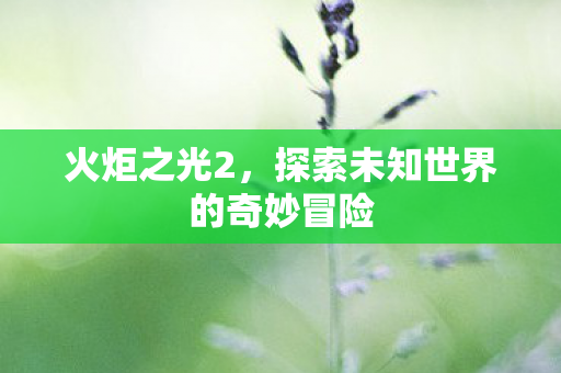 探索未知世界的奇妙冒险图片
