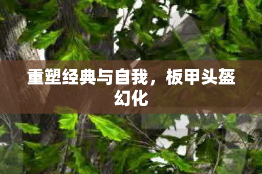 重塑经典与自我图片