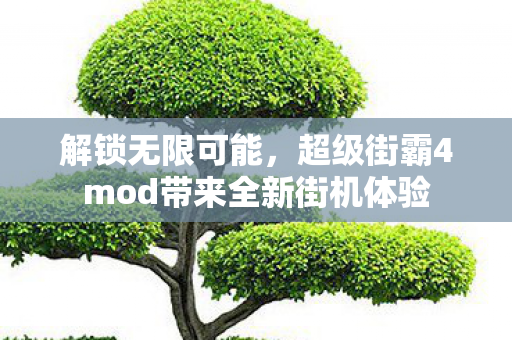 超级街霸4mod带来全新街机体验图片
