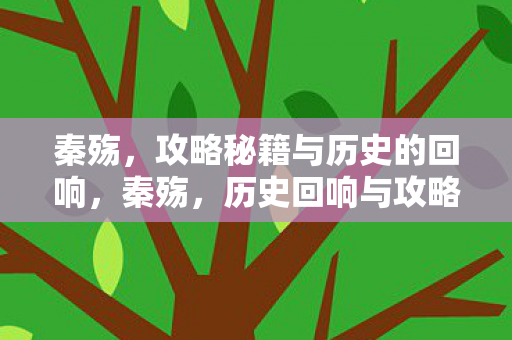 秦殇,攻略秘籍与历史的回响,秦殇,历史回响与攻略秘籍 秦殇,攻略秘籍与历史的回响,秦殇,历史回响与攻略秘籍