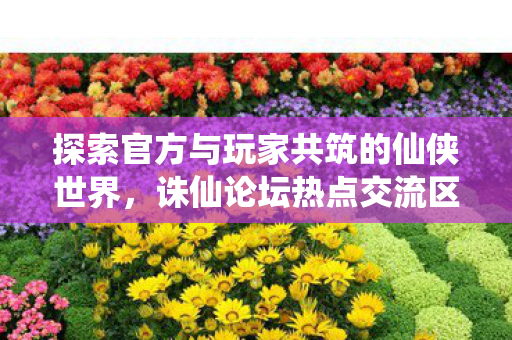 探索官方与玩家共筑的仙侠世界图片