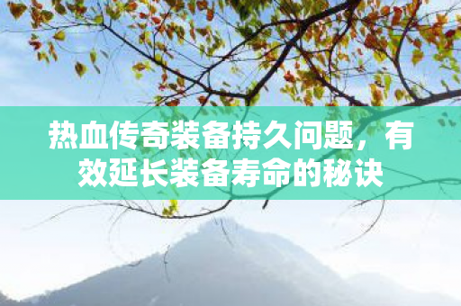 有效延长装备寿命的秘诀图片