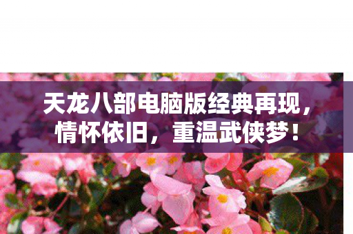 天龙八部电脑版经典再现图片