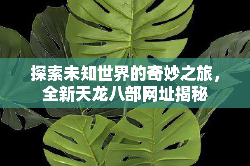 探索未知世界的奇妙之旅图片