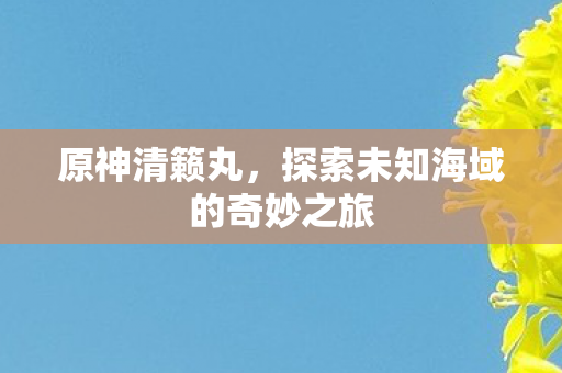 探索未知海域的奇妙之旅图片