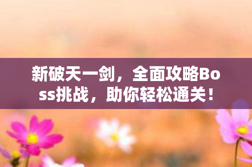 全面攻略Boss挑战图片