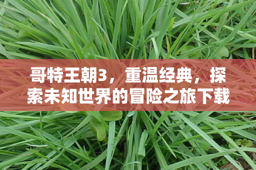 哥特王朝3,重温经典,探索未知世界的冒险之旅下载 哥特王朝3,重温经典,探索未知世界的冒险之旅下载