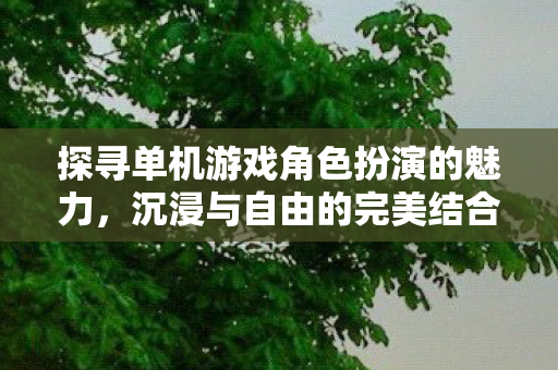 探寻单机游戏角色扮演的魅力，沉浸与自由的完美结合