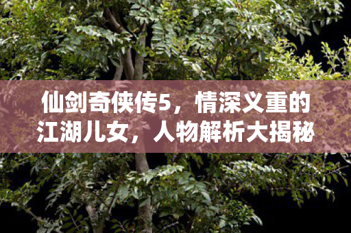 仙剑奇侠传5,情深义重的江湖儿女,人物解析大揭秘! 仙剑奇侠传5,情深义重的江湖儿女,人物解析大揭秘!