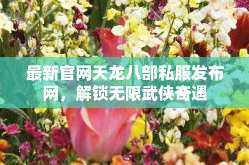 最新官网天龙八部私服发布网图片