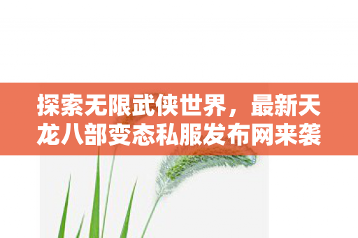 最新天龙八部变态私服发布网来袭图片
