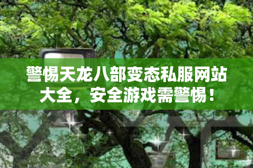警惕天龙八部变态私服网站大全图片