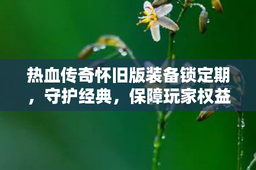 热血传奇怀旧版装备锁定期图片