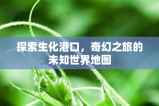 奇幻之旅的未知世界地图图片