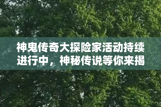 神鬼传奇大探险家活动持续进行中图片