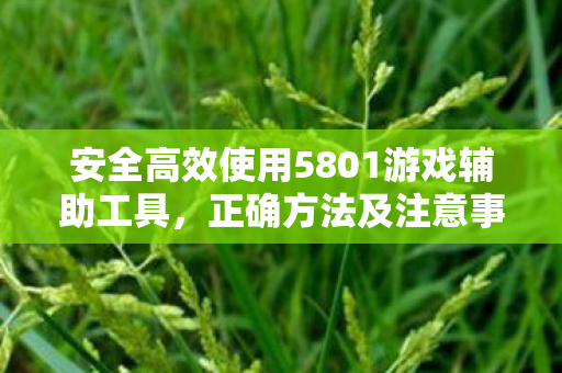 安全高效使用5801游戏辅助工具图片