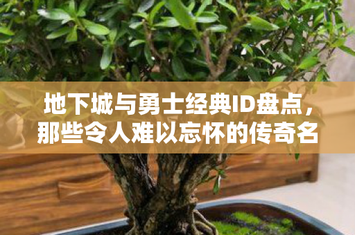 那些令人难以忘怀的传奇名字图片