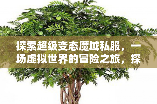 一场虚拟世界的冒险之旅图片