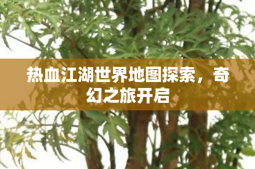 热血江湖世界地图探索图片