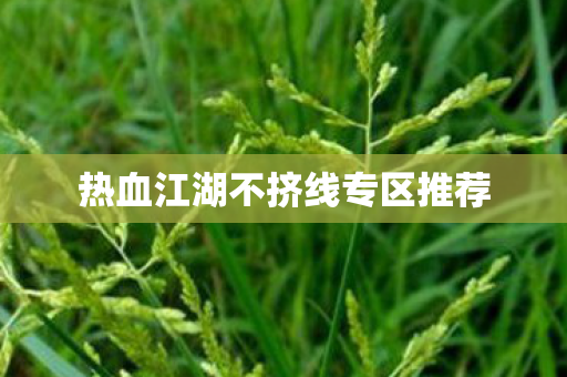 热血江湖不挤线专区推荐 热血江湖不挤线专区推荐