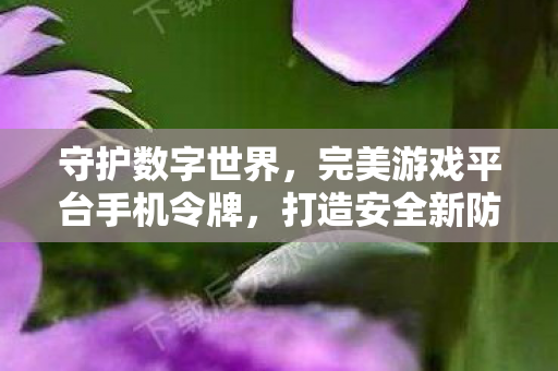 完美游戏平台手机令牌图片