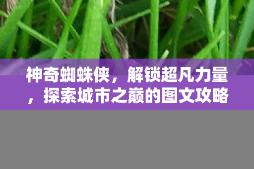 探索城市之巅的图文攻略大全图片