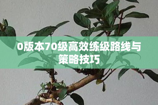 0版本70级高效练级路线与策略技巧图片
